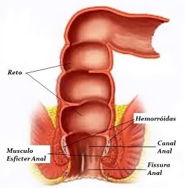 Foto 1 do conto: O sexo anal bem feito depende da cumplicidade, confiança e do carinho.